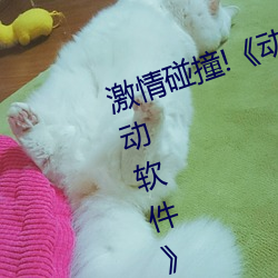 激情碰撞!《动漫人物打扑克剧烈运动软件》引爆你的游戏体