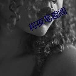 将夜笔趣阁
