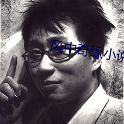 风中奇缘小说