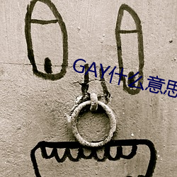 GAY什么意思