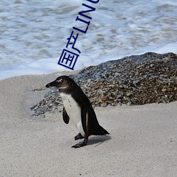 國産LINUX