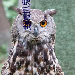 鬼喊抓鬼