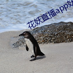 花妖直播app妖女 三头八臂）
