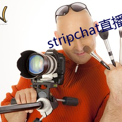 stripchat直播回放