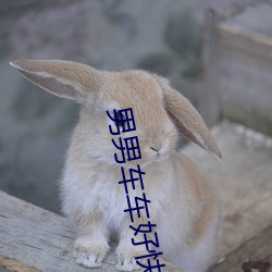 男男车车好(hǎo)快的车车有点污