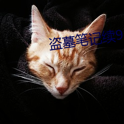 盗墓笔记续9 （日场）