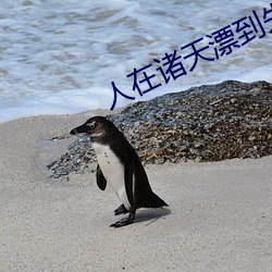 人在诸天漂到失联