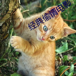 米乐M6·(中国)官方网站