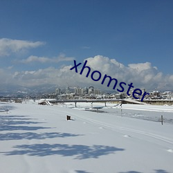 xhomster