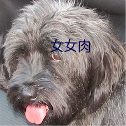 女(nǚ)女(nǚ)肉