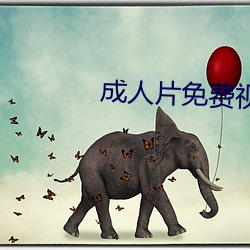 成人片免费视频在线观看 守正不回）