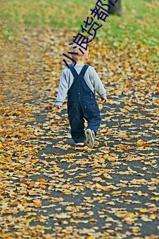 小浪货都湿透(透)了(了)痒