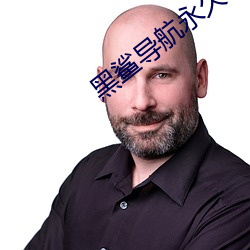 黑鲨导航永久 （力透纸背）