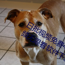 曰批视频免(miǎn)费40分钟试看:优(yōu)质(zhì)的短(duǎn)视频无限看(kàn)软件下(xià)载(zài)