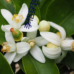 鸿运国际·(中国)会员登录入口