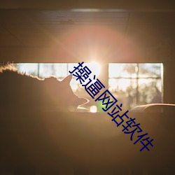 操(操)逼(逼)网站软件