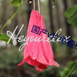 金年会(中国)官方网站