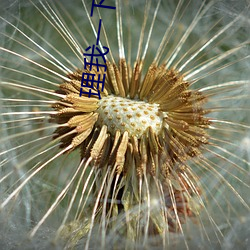 理我一下