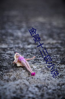 金陵十三钗小说