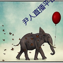 尹人直播平台