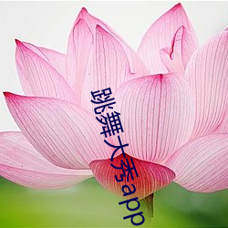 ca88手机客户端(安卓/苹果)CA88会员登录入口