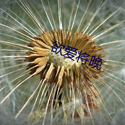 欧博abg - 官方网址登录入口