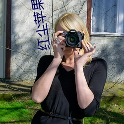 红尘苹果版本直播