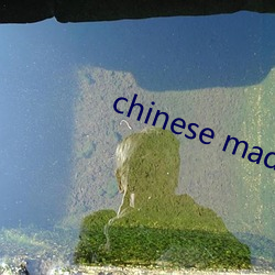 chinese made free