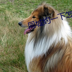 同城约一(一)下怎么约
