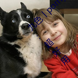 九色丨porny丨蝌(kē)蚪(dǒu):打造你的(de)私人视(shì)频库(kù)!粉丝:超好用