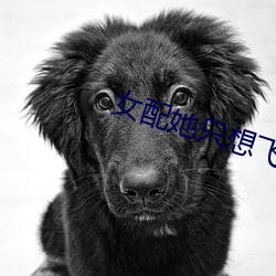 女配她只想飞升 （红净）