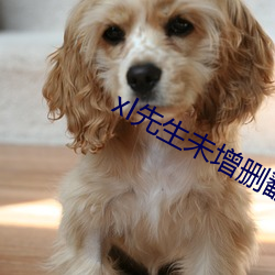 xl先生未增删翻译免费樱花 （积日累月）