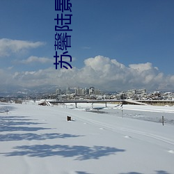 苏馨(馨)陆(陸)景辰