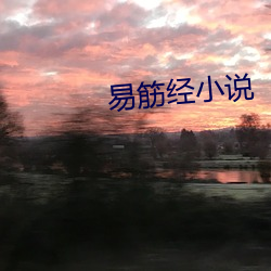 易筋经小说