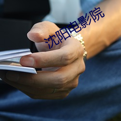 沈阳(陽)电影院