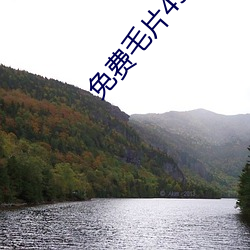 免(miǎn)费毛片45分钟(zhōng)