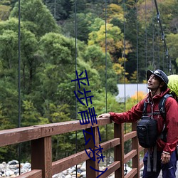 平步青雲夢入洪荒