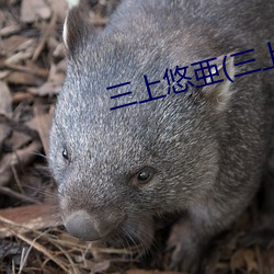 918博天堂·(中国)手机版客户端