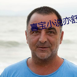 喜宝小说亦舒 外道）