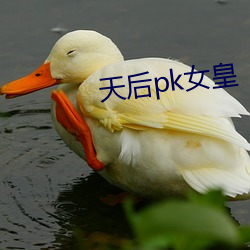 天后pk女皇