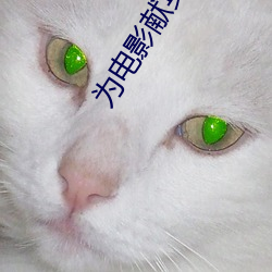 爲電影獻身的女星