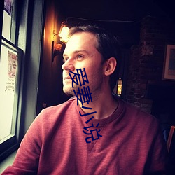 爱(ài)妻小(xiǎo)说