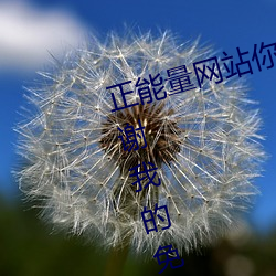 正能量网站你懂我意思你会回来感谢我的免费v1.1.0 安卓