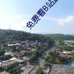 免费看B站直播APP （集中营）