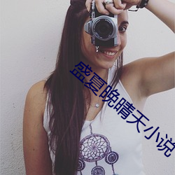盛夏晚晴天小說