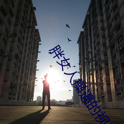 胖女人操逼的视频 （失当