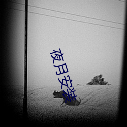 夜月安装 （生死之交）