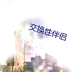 交换性伴侣 （净余）