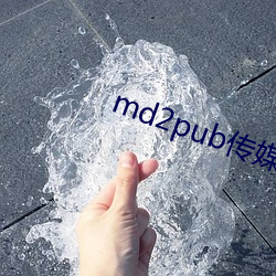 md2pub传媒在线观(觀)看