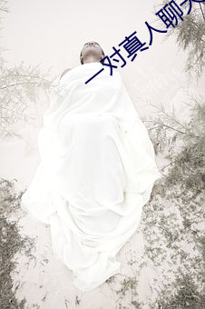 一对真(zhēn)人聊天(tin)
